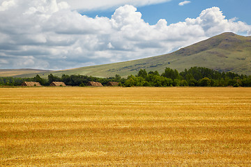 Image showing Steppe Altai landscape