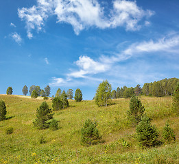 Image showing Altai meadows