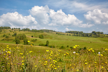 Image showing Altai meadows