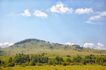 Image showing Altai meadows