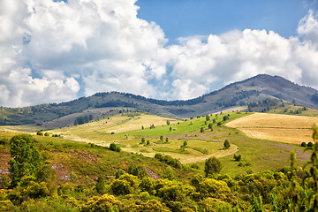 Image showing Altai meadows