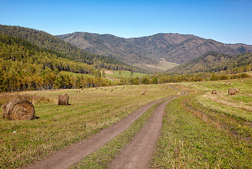 Image showing Altai road