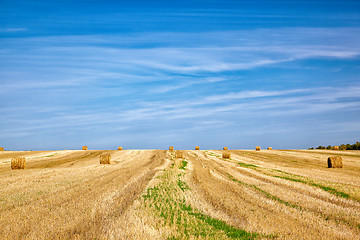 Image showing Steppe Altai landscape