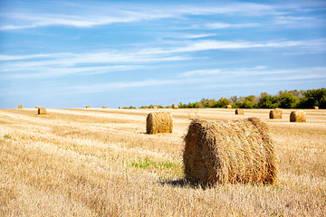 Image showing Steppe Altai landscape