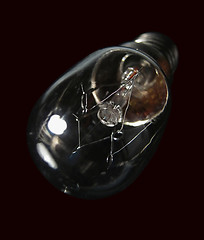 Image showing Small bulb