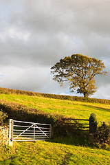 Image showing In Yorkshire Dales