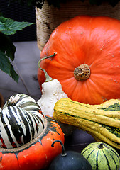 Image showing Autumn vegetables