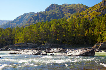 Image showing Altai river Katun