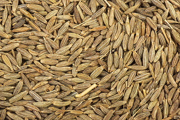 Image showing Zeera seeds close-up