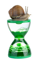 Image showing Snail and gel hourglass