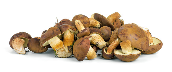 Image showing Small pile of yellow boletus mushrooms near. 