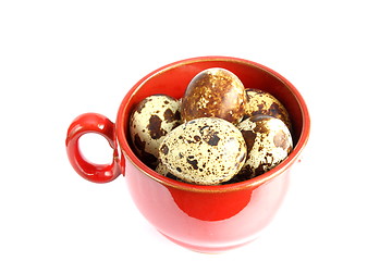 Image showing quail eggs in red mug