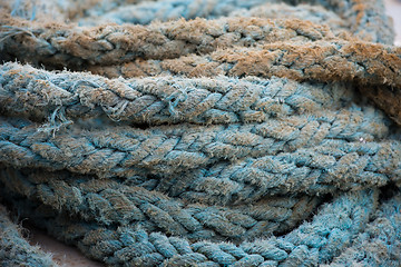 Image showing Coils of blue rope