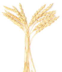 Image showing wheat ears