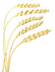 Image showing wheat ears