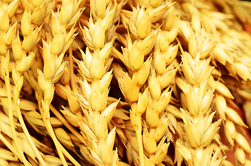 Image showing wheat background
