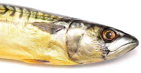 Image showing mackerel