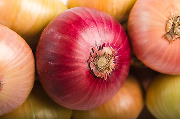 Image showing Sheaf of an onions, close up