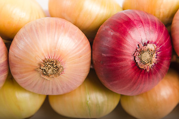 Image showing Sheaf of an onions, close up