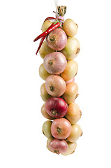 Image showing Sheaf of an onions, it is isolated on white