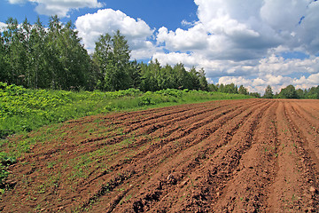 Image showing plow field