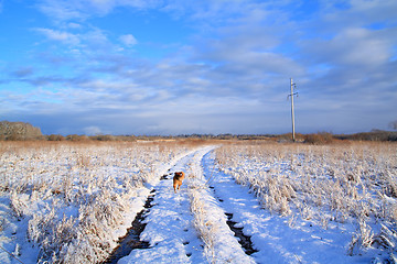 Image showing rural road through winter field 