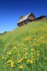 Image showing rural house on small hill