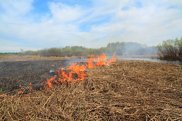 Image showing red fire in dry herb