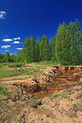 Image showing old sandy quarry in green wood