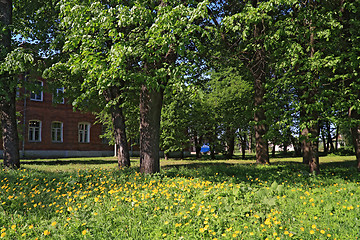 Image showing old house amongst tree in park