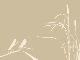 Image showing two dragonflies on brown background