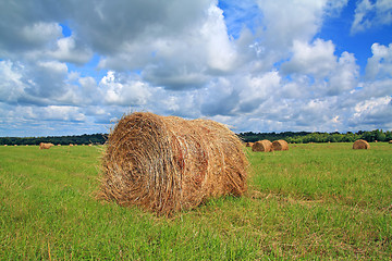 Image showing stack hay on summer field 