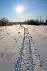 Image showing track left by skis in wood