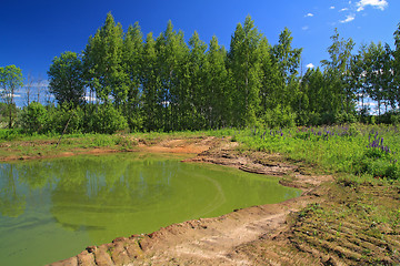 Image showing green lake in summer wood