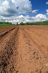 Image showing plow field