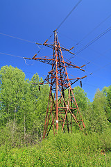 Image showing electric pole amongst green wood