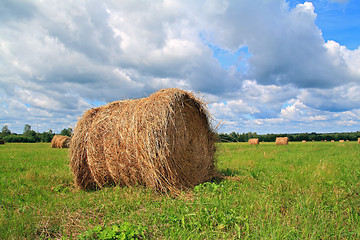 Image showing stack hay on summer field