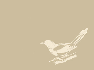 Image showing bird on brown background