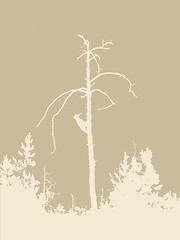 Image showing wood silhouette on brown background