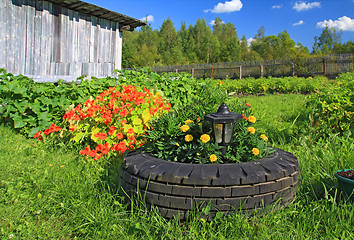 Image showing summer flowerses near rural building