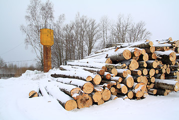 Image showing heap firewood on winter snow