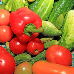 Image showing red pepper amongst cucumber and tomato