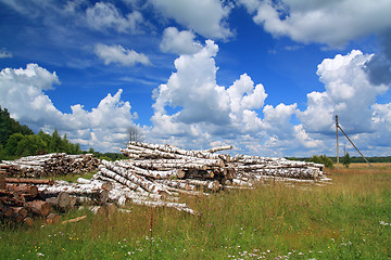 Image showing timber in a field near the forest