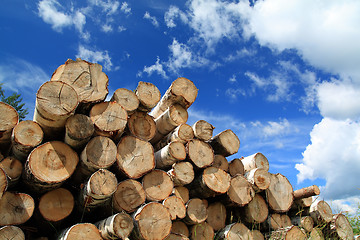 Image showing timber in a field near the forest