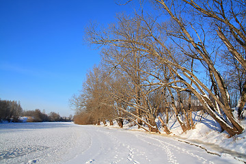 Image showing dark wood on coast river