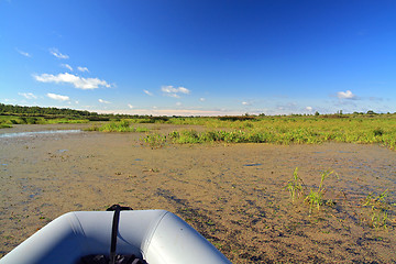 Image showing rubber boat on green marsh