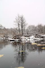 Image showing snow tree on coast river 