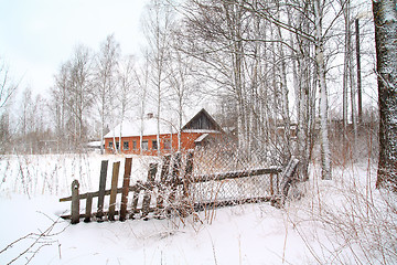 Image showing red house amongst white birch