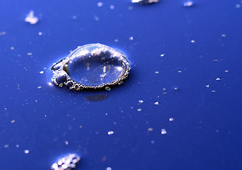 Image showing blue bladder on water surface