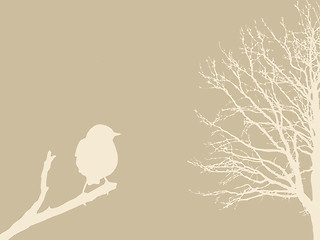 Image showing bird on branch on brown background